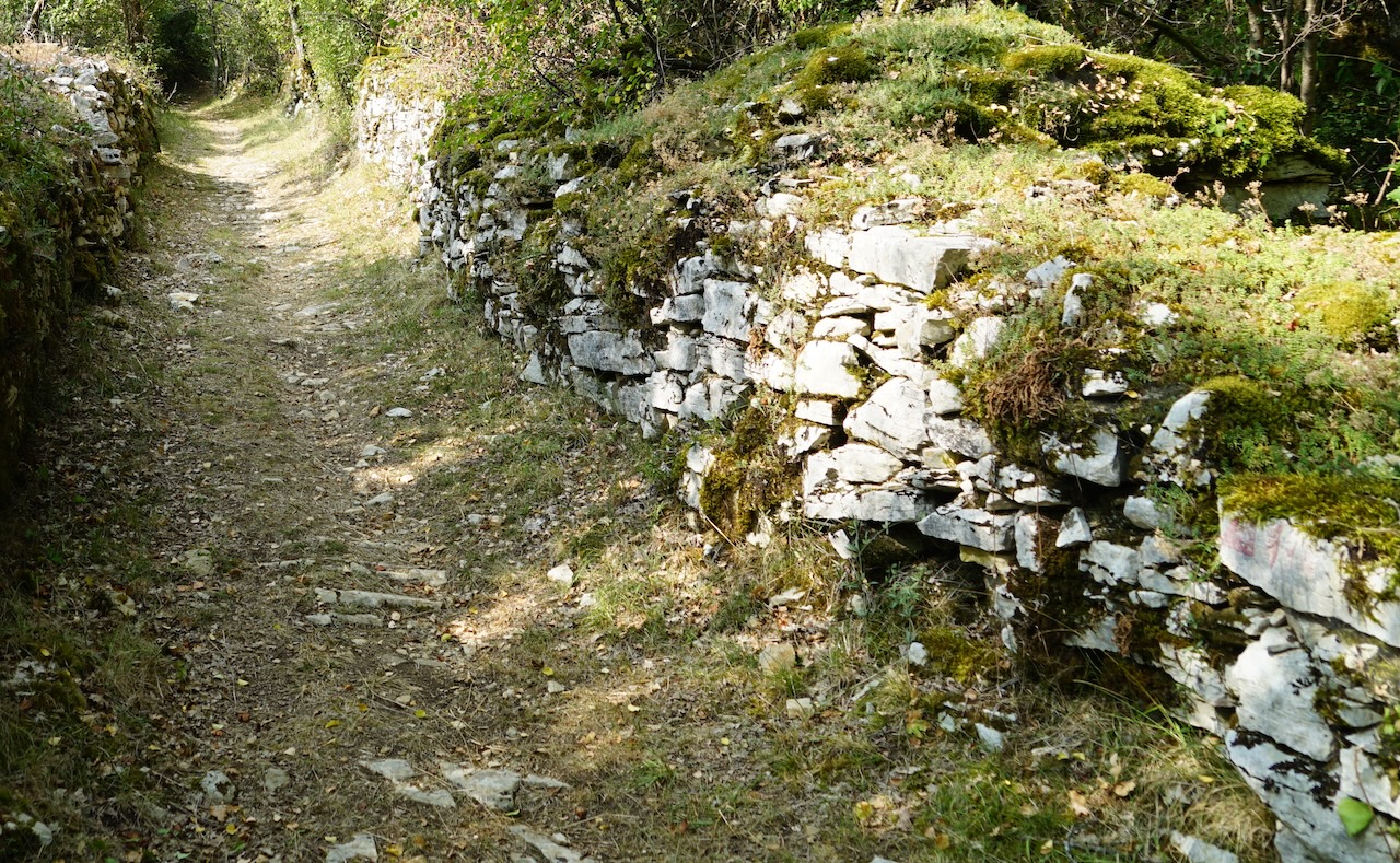 DSC07581_ancien_chemin_muré_parcelle_vignes